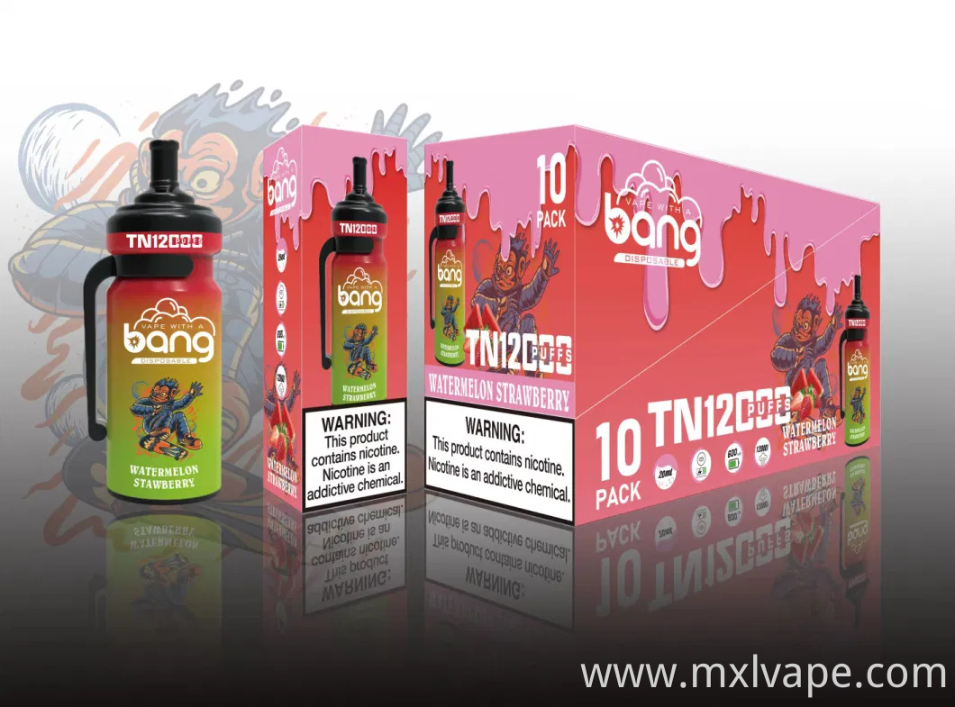 China Wholesale Custom Vaporizer Disposable Vaper Pen Bang Tn 12000 Puffs in Stock